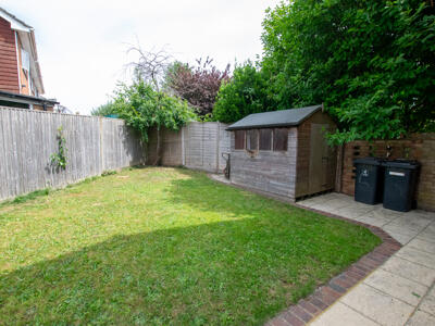 Picture 12